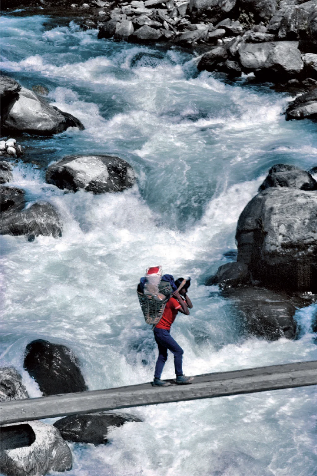 Water Treasures of the Himalayas By Serge Verliat and Jean Philippe - Image 2